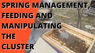 Spring management, feeding and manipulating the cluster