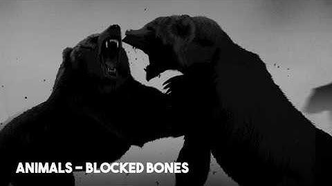 Room 04 - Blocked Bones (ANIMALS)