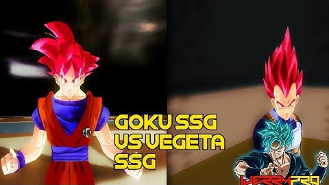 Goku SSJ God Vs Vegeta SSJ God | Dragon ball Z Tenkaichi Tag MOD