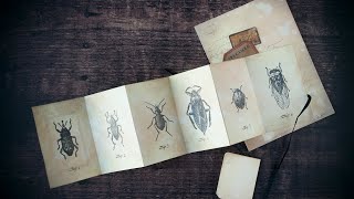 Expedition log journal: fifth entry - Making a vintage style journal of a naturalist