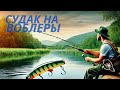 Самая эффективная проводка на ночного судака. Рыбалка в Германии