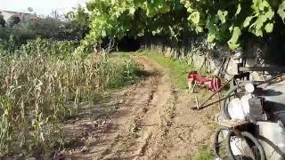 Bashan 200cc