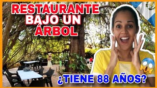 Restaurante🍽 BAJO un ÁRBOL🌳en GUATEMALA🇬🇹EXPERIENCIA sin IGUAL,Cubana reacciona😱#reaction #cubana