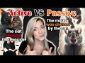 Active vs Passive Voice Quiz