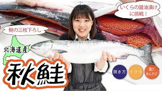 【アキサケ】北海道産の秋鮭～筋子もたっぷり！～失敗しないイクラの醤油漬けの方法～｜クラハシ公式