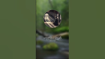 والذين ءامنو وعملو الصٰلحٰت  | سورة العنكبوت آيات ٥٨ #تلاوات #قرآن #سورة_العنكبوت #تلاوة_هادئة