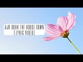 AJR Burn The House Down Lyric Video Video Inspired By Ajr