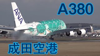 迫力ありすぎA380 成田空港 2020年 総集編