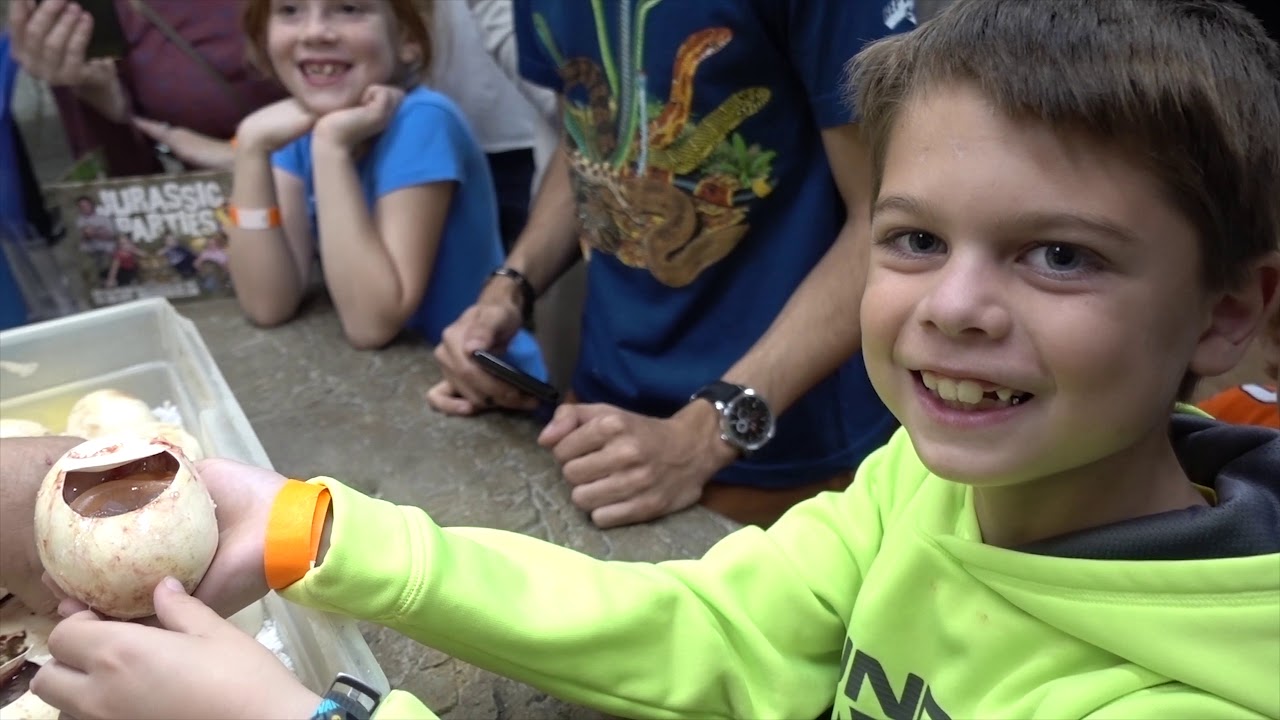 fountain valley library Best Birthday Ever with 27 Future Giant Snakes