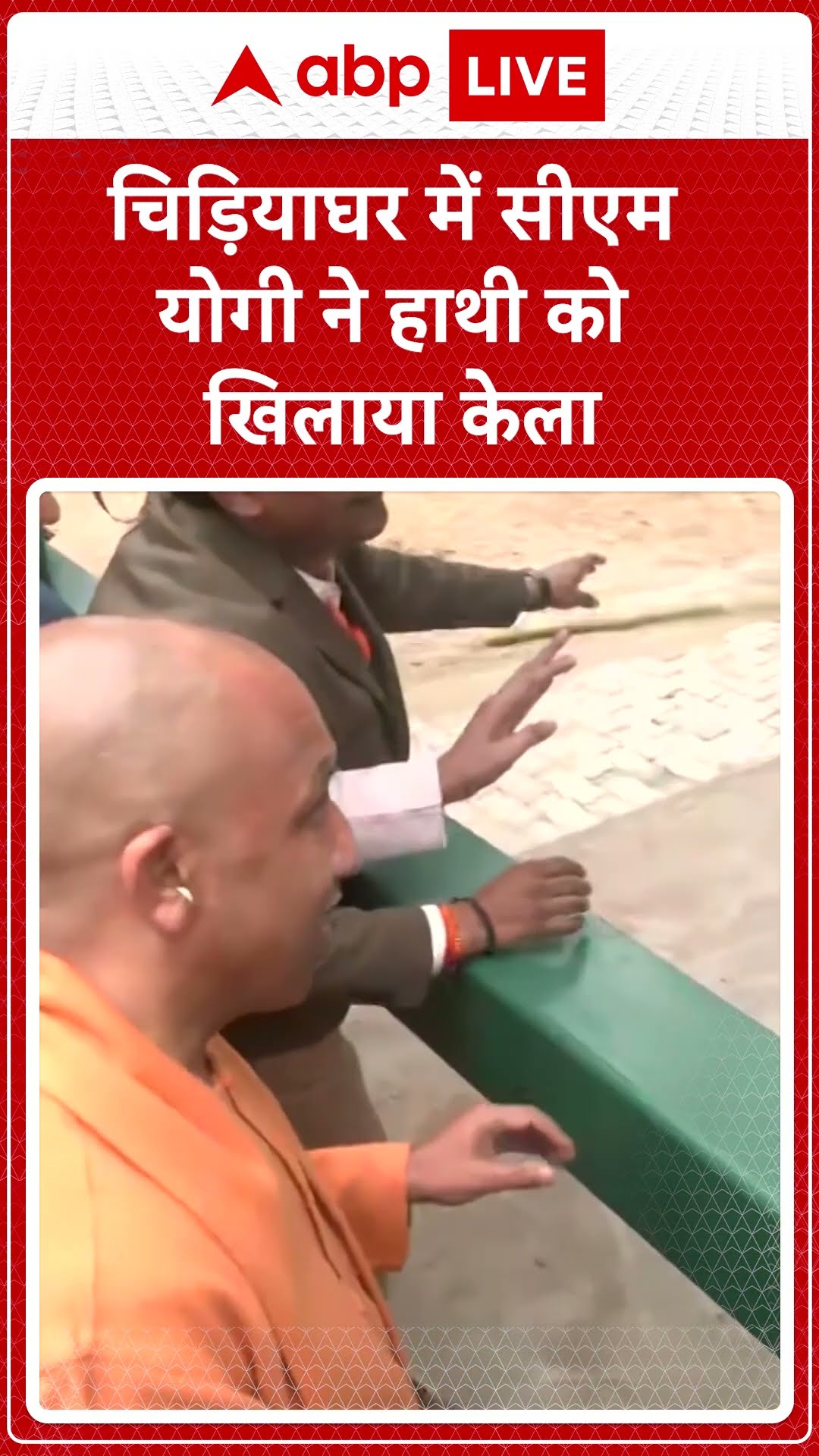 CM Yogi's visit to Gorakhpur: चिड़ियाघर में सीएम योगी ने हाथी को खिलाया केला | ABP LIVE | SHORTS