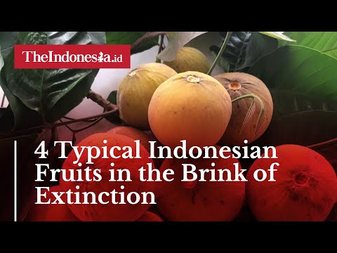 Indonesian Fruit Trees