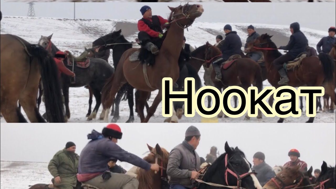 Искандар Аламан улак Ноокат району