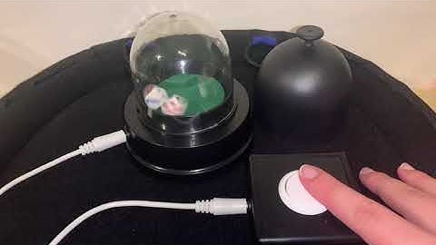 Switch Accessible Dice Roller