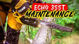 Echo cs355t Maintenance and REVIEW