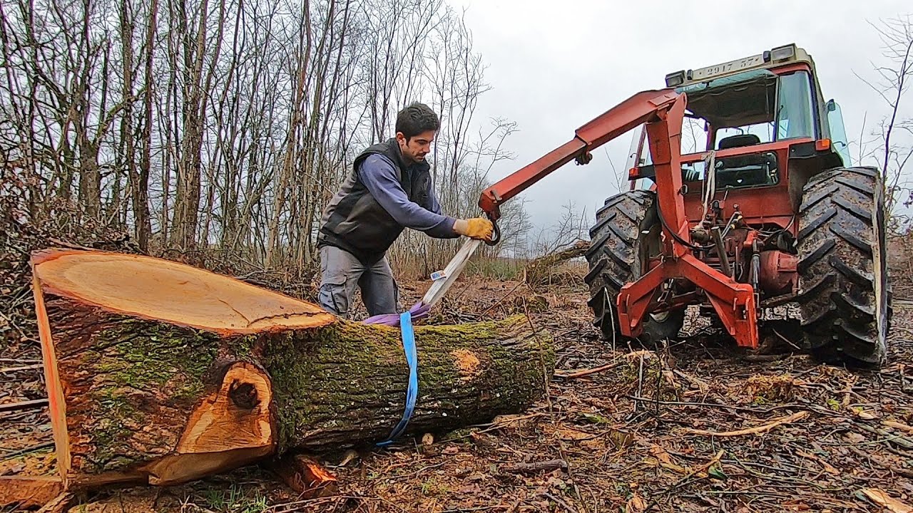Les surbilles signent la fin du chantier de bois - 2022