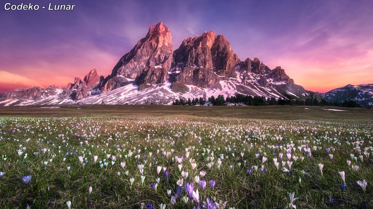 Codeko - Lunar