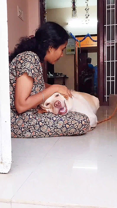 🔥இவங்க பாசத்துக்கு பஞ்சம் இல்ல💥 #shortsvideo #puppy #dog #petlover #funny #love #doglover #dogshorts