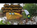 Kerala fishing