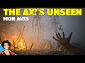 THE AXIS UNSEEN : Mon avis sur le jeu