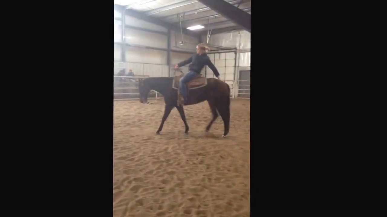 Kiss Me In A Hot Rod 2011 AQHA Filly YouTube