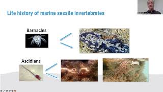 Biofouling and hull maintenance webinar