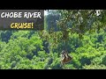 Chobe River Cruise | Self Drive 4x4 Botswana | Chobe4x4 | Ep 7