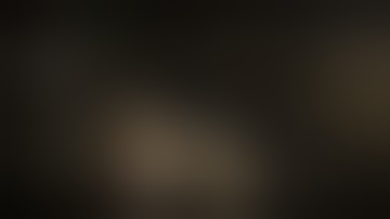 sfg2 script by made v2.0 dongbutsoy