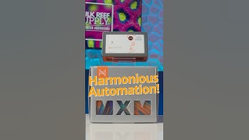 What Can You Do With a MXM?