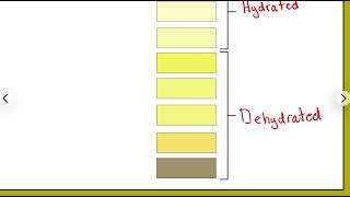 Bio 1100 Lecture 15 Urinary System Overview
