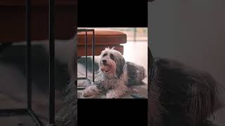 POV: You’re having the worst day ever 💀😂 #fails #funny