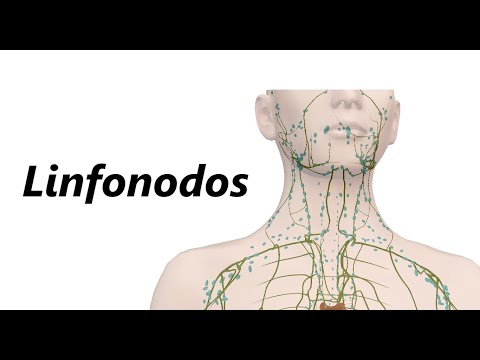 Vídeo: Onde estão os linfonodos occipitais?