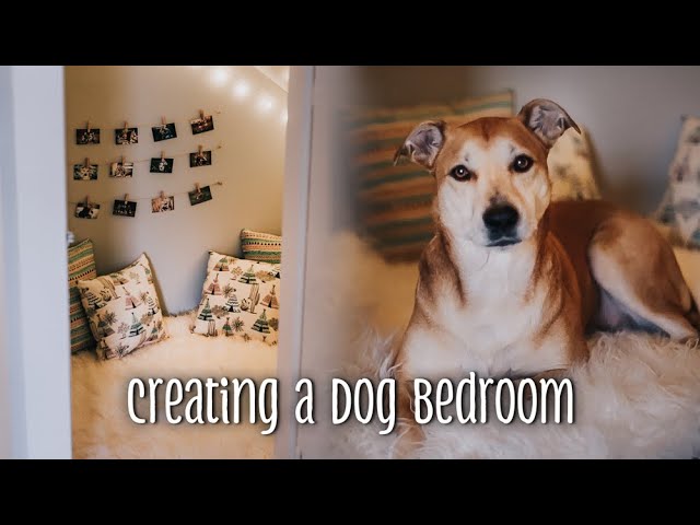 53+ Dog Room Ideas - How to Create a Dog Room - Happy Oodles