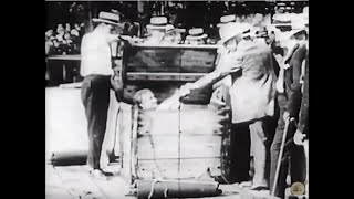 Houdini overboard box escape