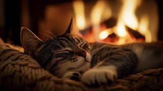 💤 Yumuşak Kedi Mırıltısı Terapisi 🔥 Stres Giderici ve Uyku Sağlayan Şifalı Titreşimler screenshot 2