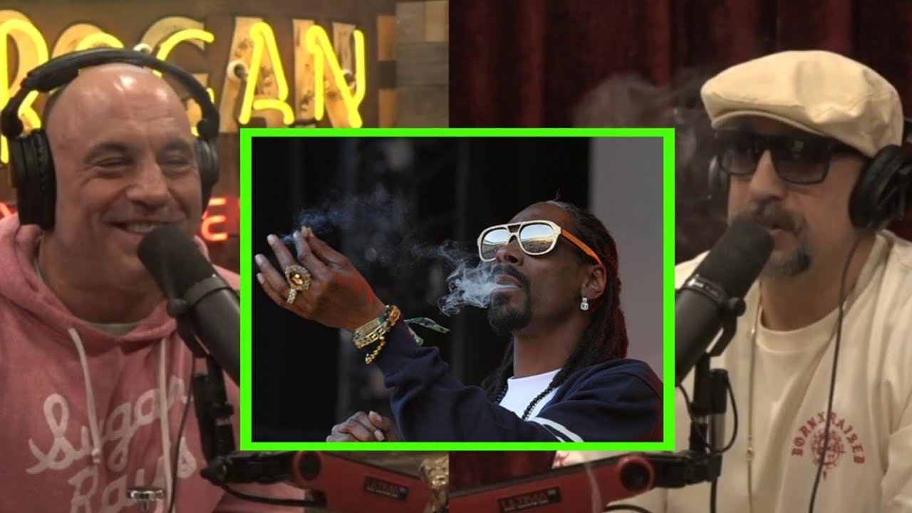 Joe Rogan Talks About His Preconceived Notion of Marijuana With b real