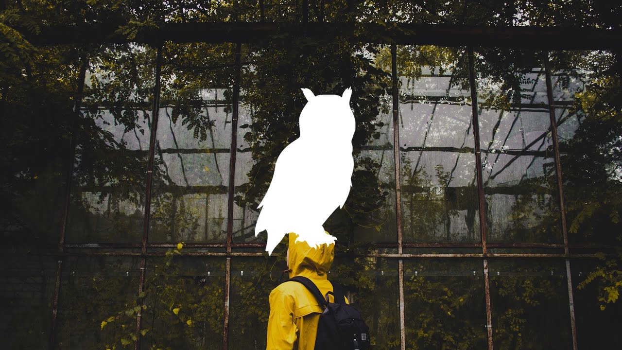 Shahly - Bliss (SVDKO Remix)