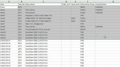 IBM Maximo Items Loading Using Maxls