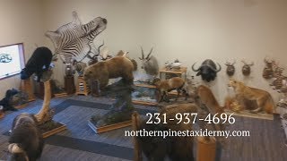 Northern Pines Taxidermy Sportsman Extravaganza Howard City MI