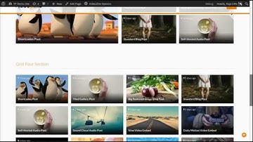 ThemePacific Page Builder for VideoZine - Video WordPress Theme