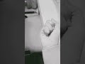 I have four fingers
