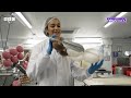 How are Easter eggs made? | Newsround