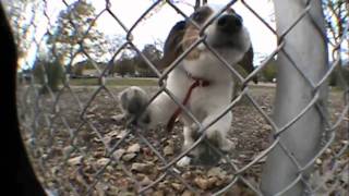 2011 FALL EDIT PROMO