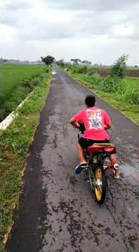 setting ninja 150 std porting harian