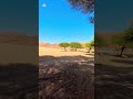 رحلتنا اكسبلور امطار ترند صيد تيك توك ترند تيك توك لايك الطقس الشتاء