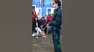 Reactive Aussie Just Needed Clear Communication.