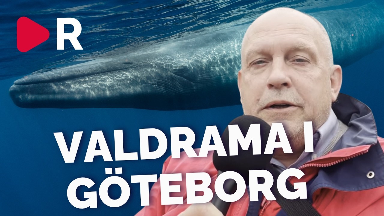 Världsunika valen i Göteborg är 160 år gammal – nu öppnar den munnen