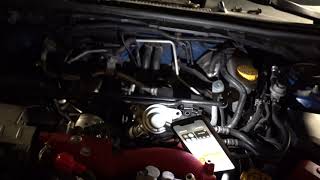 Installing Visconti Wideband Plug Play Harness Onto My 2016 Subaru Sti