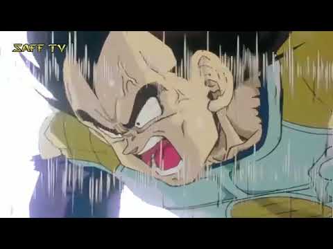 دراغون بول فيجيتا ضد ايكا