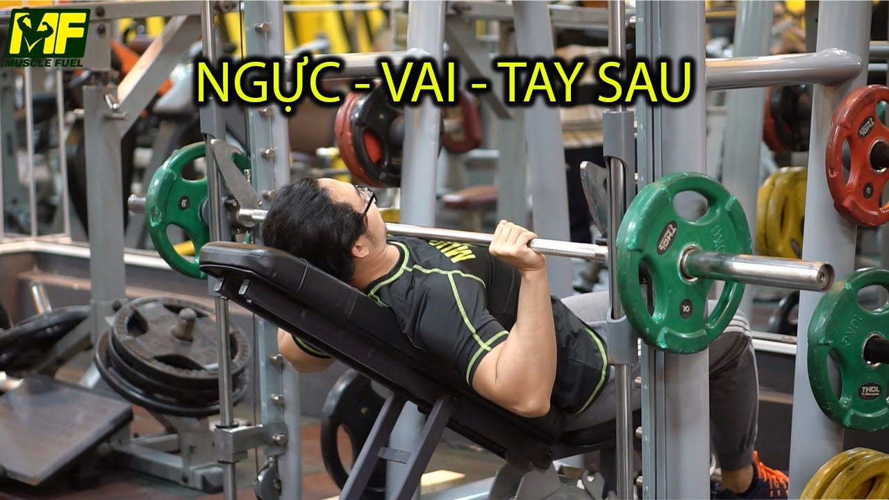 Giáo Án Cơ Bản 6 Buổi Một Tuần Dành Cho Người Mới Tập Gym | Ngực, Vai, Tay Sau | Buổi 1 |Muscle Fuel