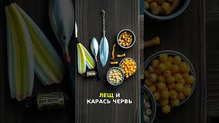 ЦВЕТ НЕ РЕШАЕТ ТА САМАЯ ВЕЩЬ ДИКТУЕТ КЛЁВ🎣 #рыбалка #наживка #тренды #fishing #рекомендации #наживка